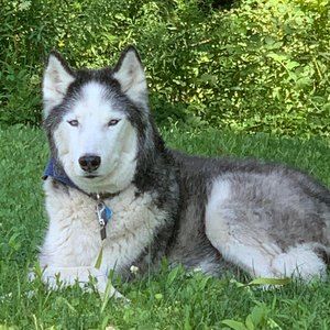 Meet your Posher, Terry